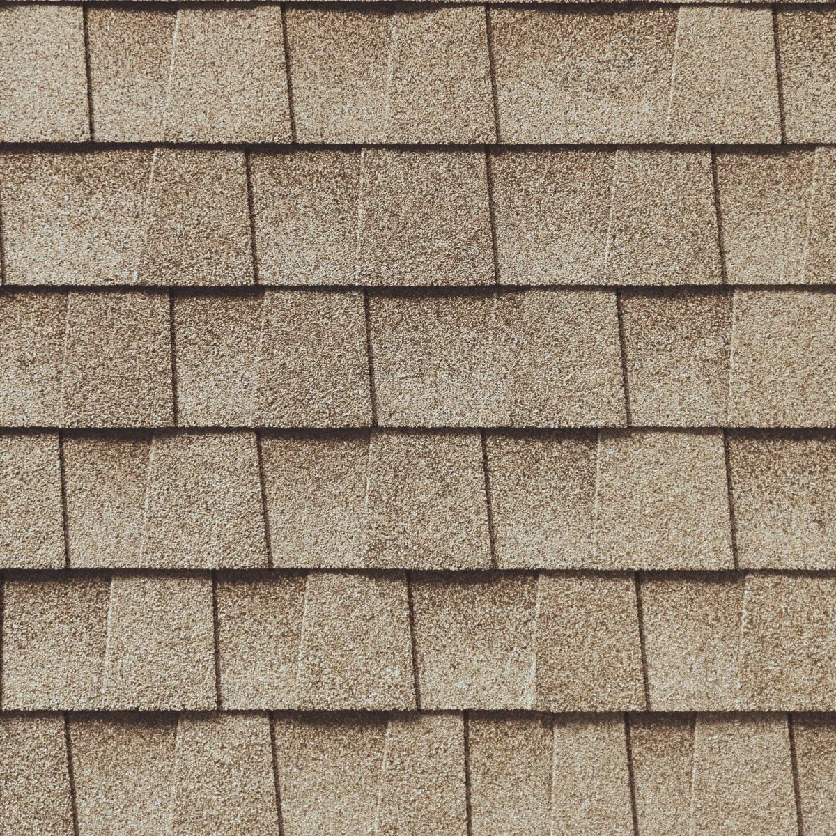 Arica Roofing & Construction LLC Images